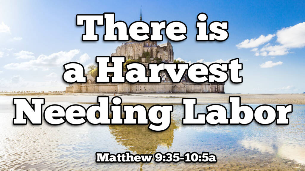 There is a Harvest Needing Labor