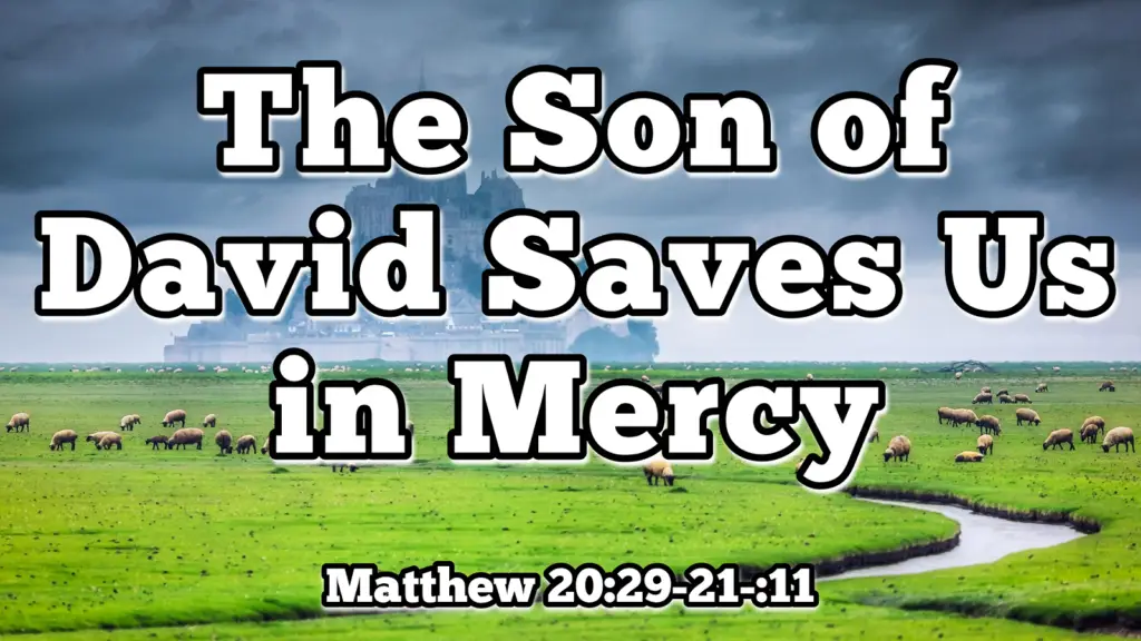 The Son of David Saves Us in Mercy – Matthew 20:29‐21:11